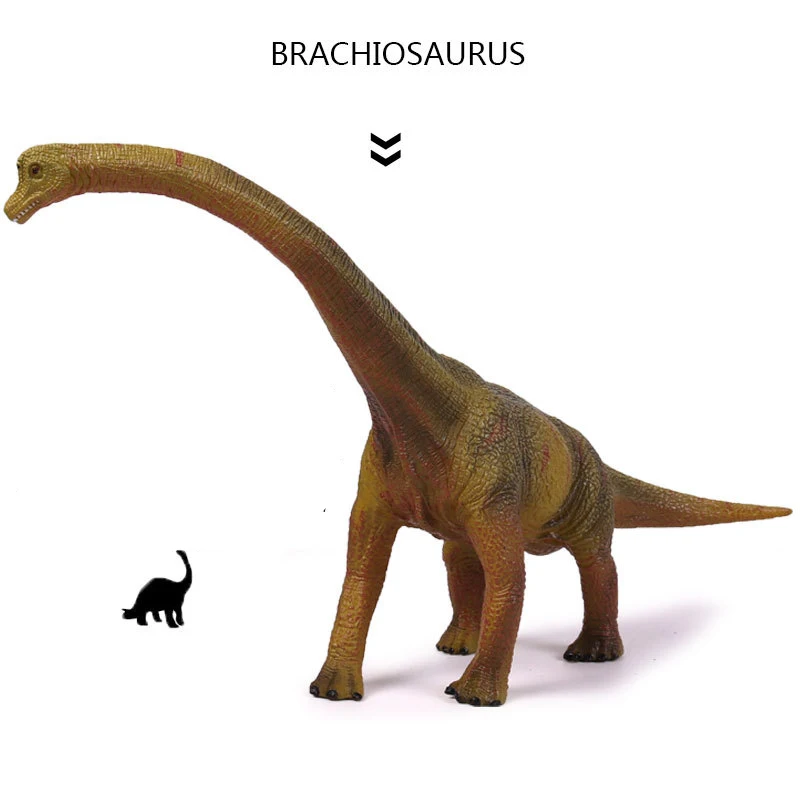 Экшн фигурки Юрского периода Diplodocus Brachiosaurus Dragon динозавр ПВХ игрушка