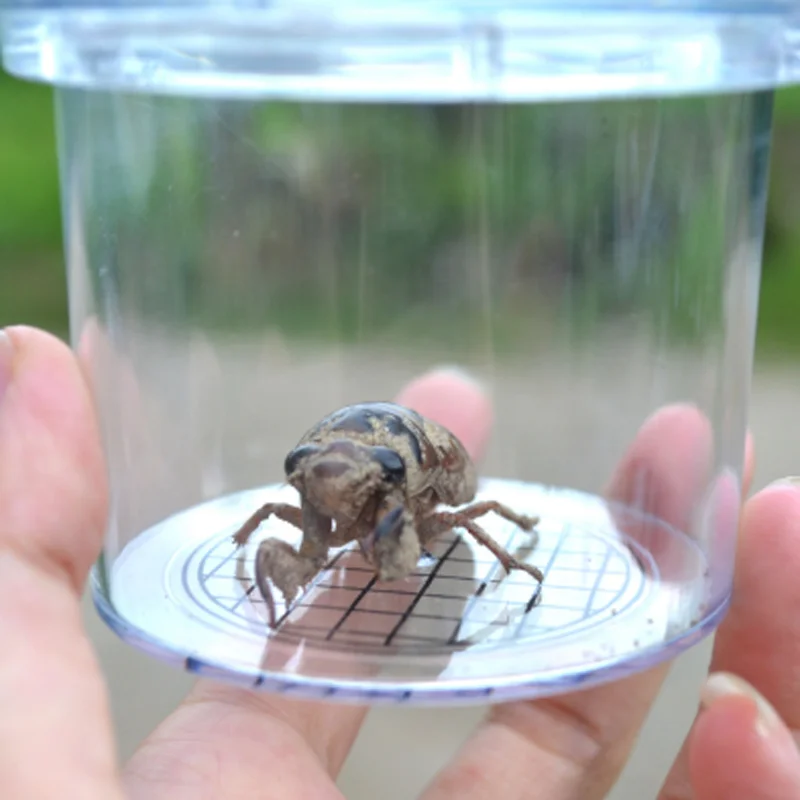 

Camping Outdoor Insect Observation Magnification Box Insect Cup Camping Equipment Science Experiment Outdoor Tool