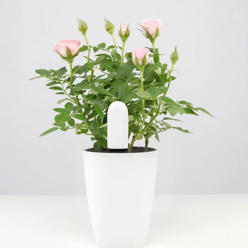 Original-Xiaomi Flora-Monitor-Flowers-Care Smart-Tester- (4)