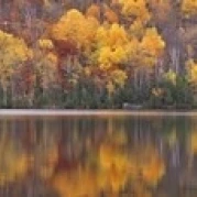 Laurentide Quebec Canada Poster Print (36 x 12)