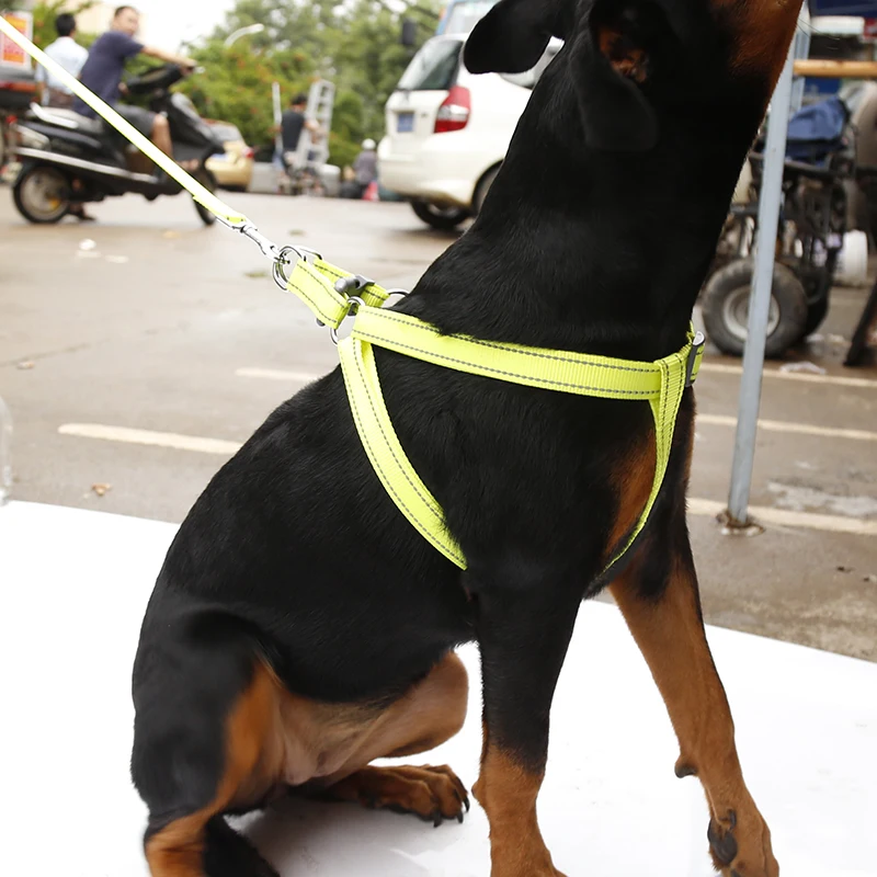 step in harness safest