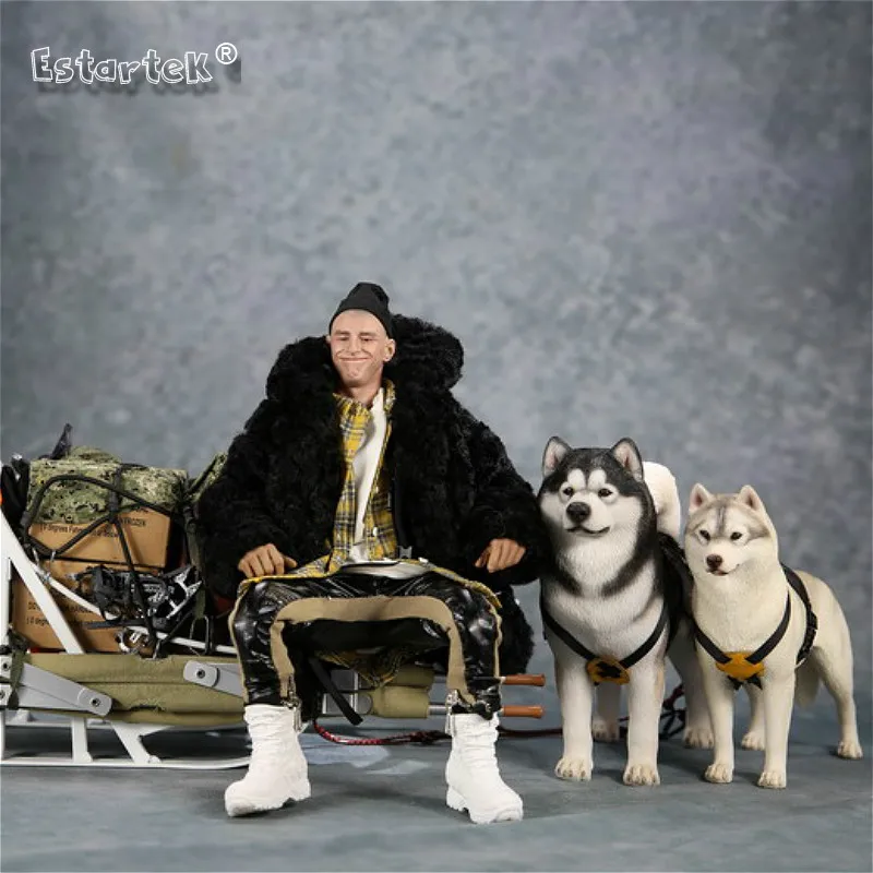 Mr.z 32nd 1/6 моделирование животных модель Alaskan Malamute собака коллекция статуя для 12