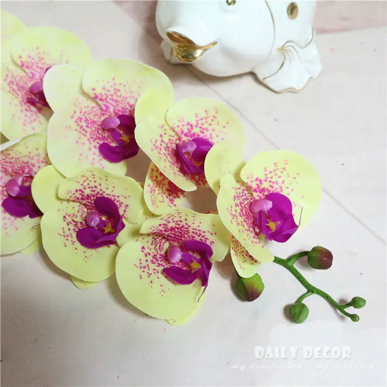 3447459001_356759457