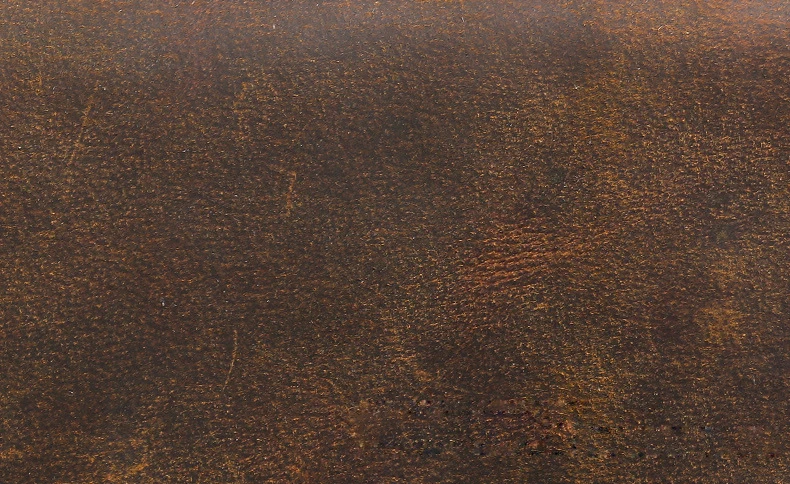 4451344120_119834434