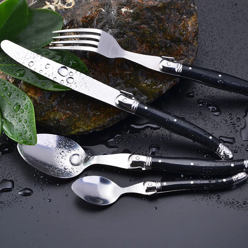 laguiole dinnerware set  (1)