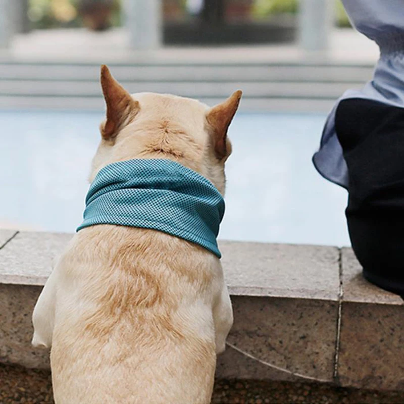 

Useful Instant Cooling Pet Supplies Bandana Dog Scarf Bulldog Summer Cooling Towel Wrap Dog Collar Dogs Pets Accessories