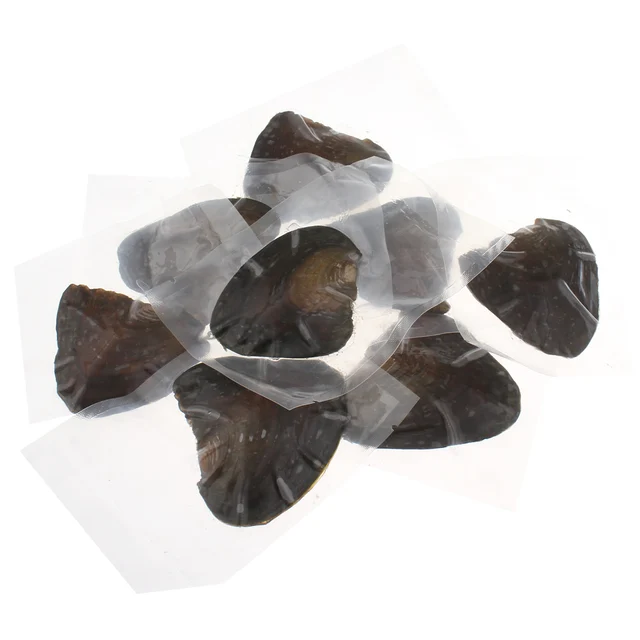 Freshwater Vacuum-pack Oyster Wish Pearls, Pearl Mussel Shell with Pearl Inside, Freshwater Vacuum-pack Oyster Wish Pearls, Pearl Mussel Shell with Pearl Inside,