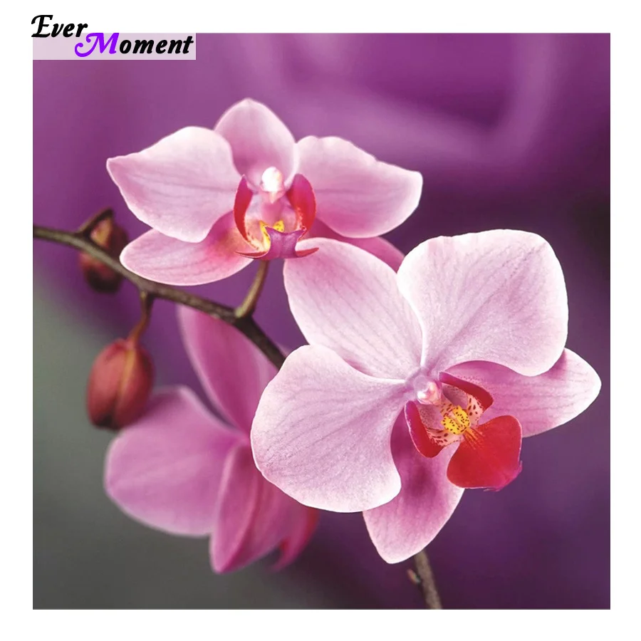 

HOT needlework Diy diamond painting kit diamond cross stitch plants embroidery very beauty flowers painting free shipping ASF020
