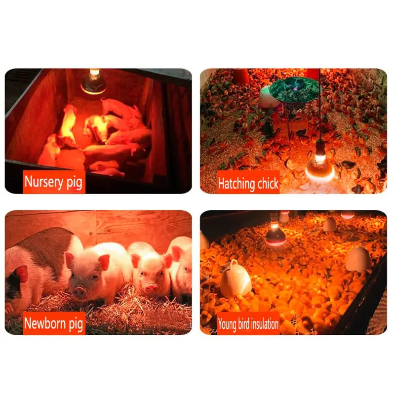 Освещение для фермы Термальность сохранение свинья курица лампа теплоты легкого применения с инфракрасным излучением светодиодный люк с рисунком собачки и котика 100/150/200/250W
