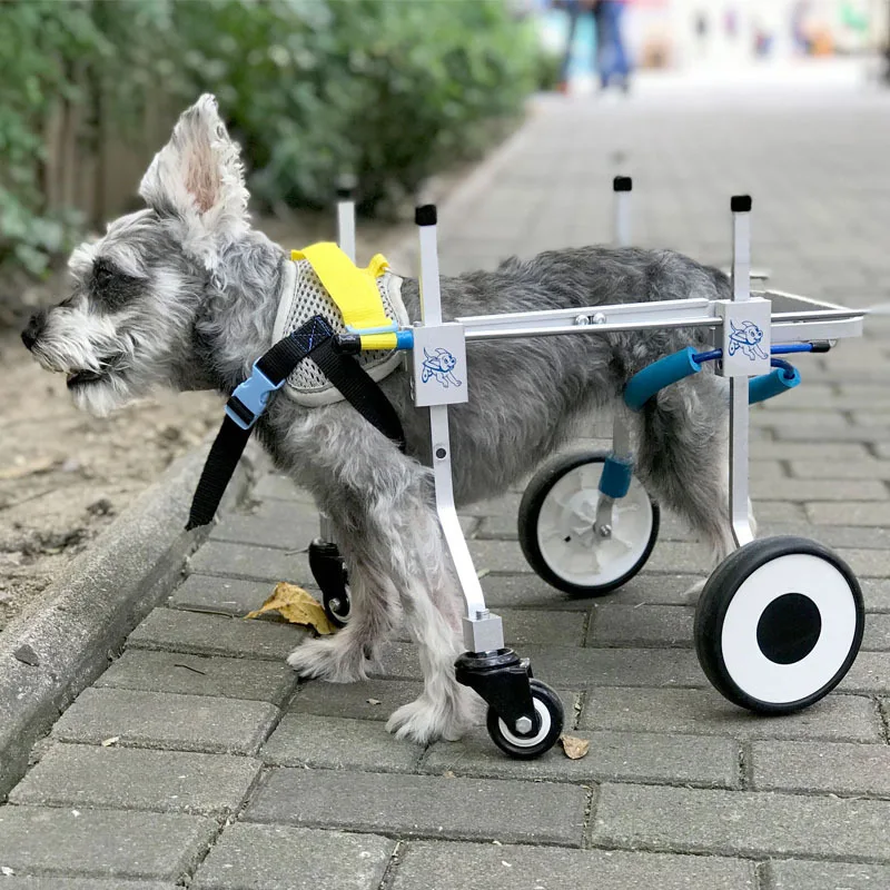 Four Wheels Adjustable Dog font b Wheelchair b font Fore Leg Rehabilitation Cart Paralyzed Pet Walk