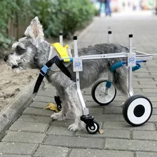 Four Wheels Adjustable Dog Wheelchair Fore-Leg Rehabilitation Cart Paralyzed Pet Walk Assistant Disabled Dog Walking Aids CW068