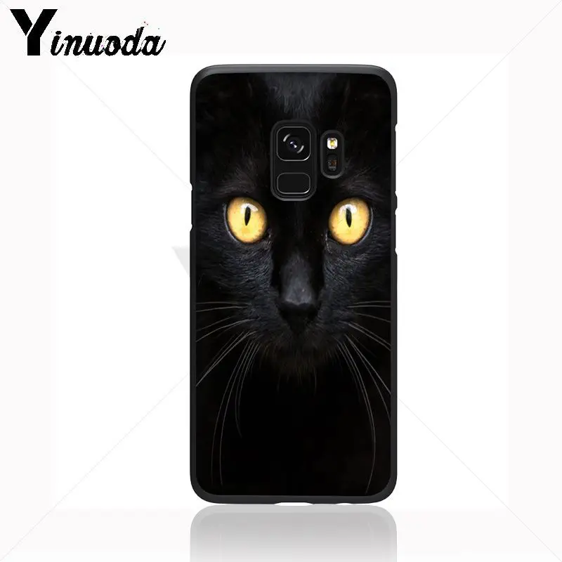 Black Cat Staring Eye