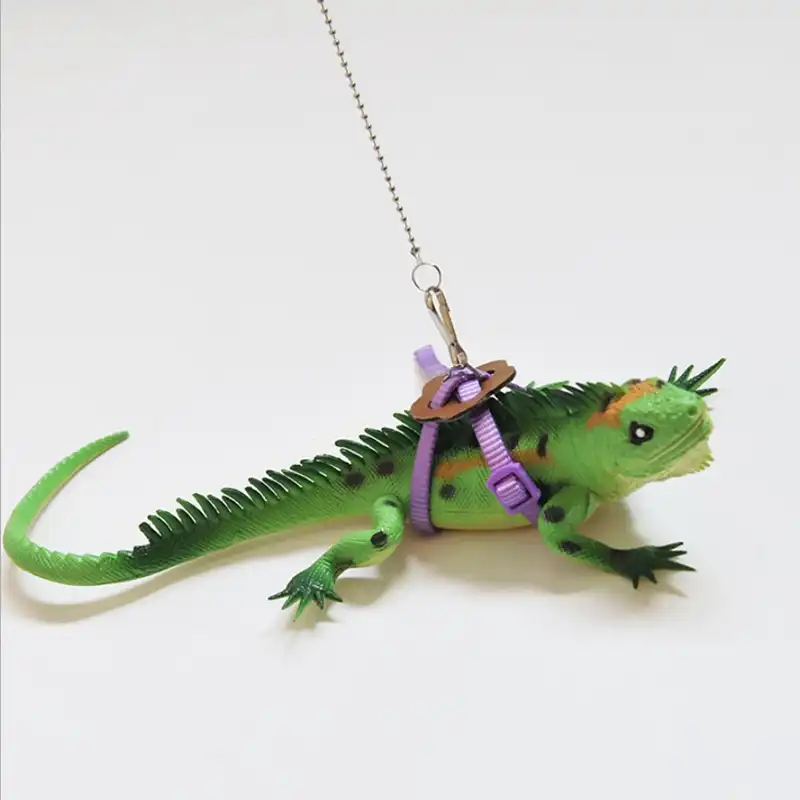Dragao Barbudo Reptil Lagarto Gecko Criaturas Arnes Ajustavel Trela Manter Corda Aliexpress