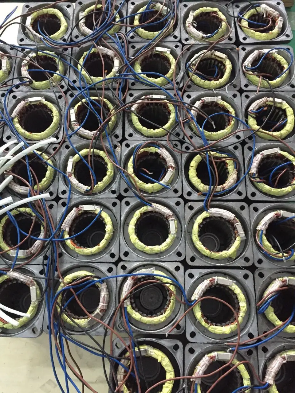 S1  (6)