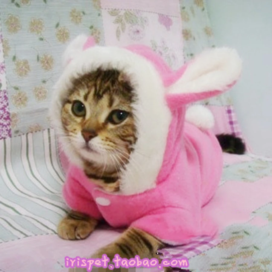 Pet Costume Lion Mane Pour Chien Vetements Chat Robe Chiot Pyjamas Vetements Disfraces Para Perros Chats Costumes Qqv977 Aliexpress