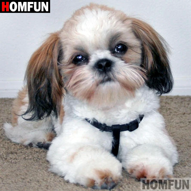 

HOMFUN Full Diamond "Animal dog" DIY 5D Diamond Painting Cross Stitch Home Decor Picture Of Rhinestone Handmade A18524