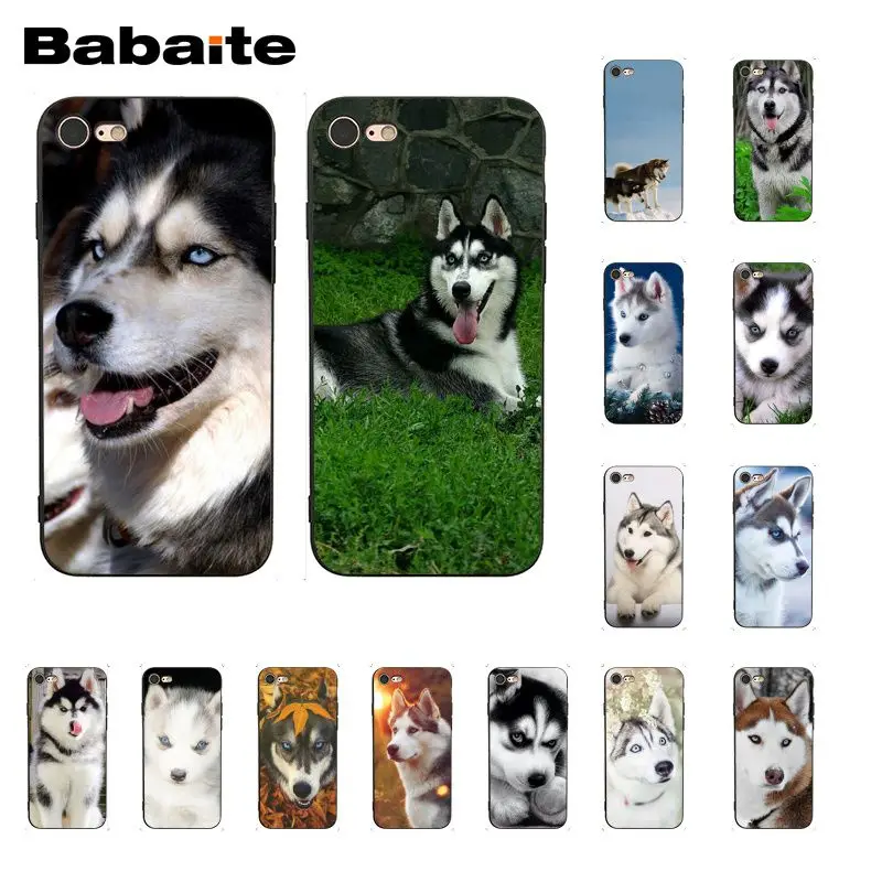 

Babaite Animal Husky puppy Dog Phone Case for iphone 11 Pro 11Pro Max 8 7 6 6S Plus X XS MAX 5 5S SE XR