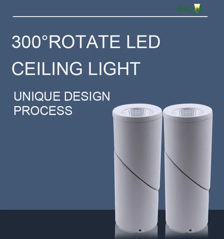 Rotatable Ceiling Surface Mounted, Aluminum Cylinder Led Ceiling Lights  7W,10W ,15W White Housing Factory Price