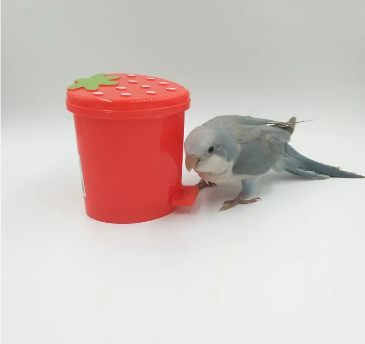 2019-04-12_173554
