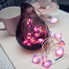 10leds 20leds 40leds Love Heart Wedding LED Fairy String Lights Lantern Romantic Wedding Event Party Garden Garland lighting ► Photo 1/6