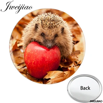 

JWEIJIAO Hedgehog In The Fog One Side Flat Pocket Mirror Mini Cute Smooth Compact Portable Simple Makeup Vanity Hand Mirrors