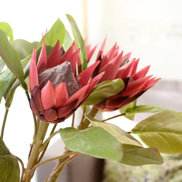 Artificial Africa Protea Cynaroides silk flowers flores branches for
