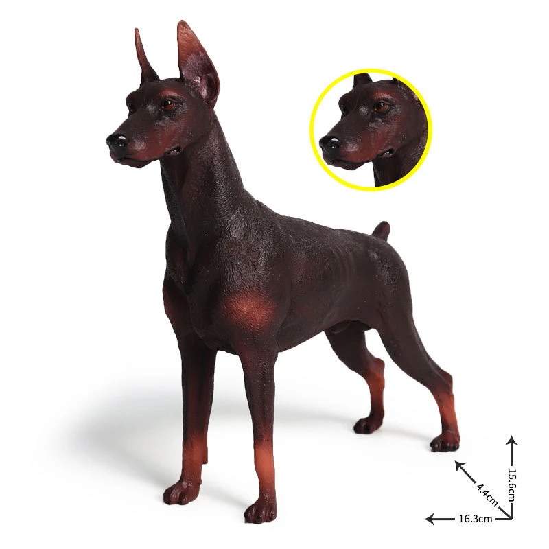 solid red doberman