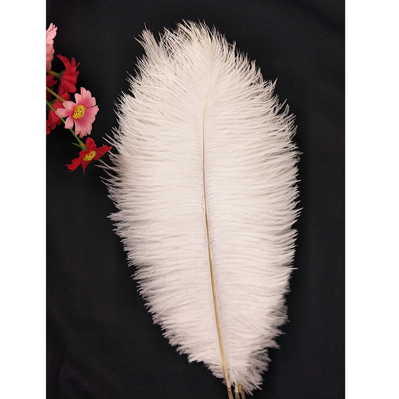 20 pcs ostrich feather 12 14 inch 30 35cm long high quality style real