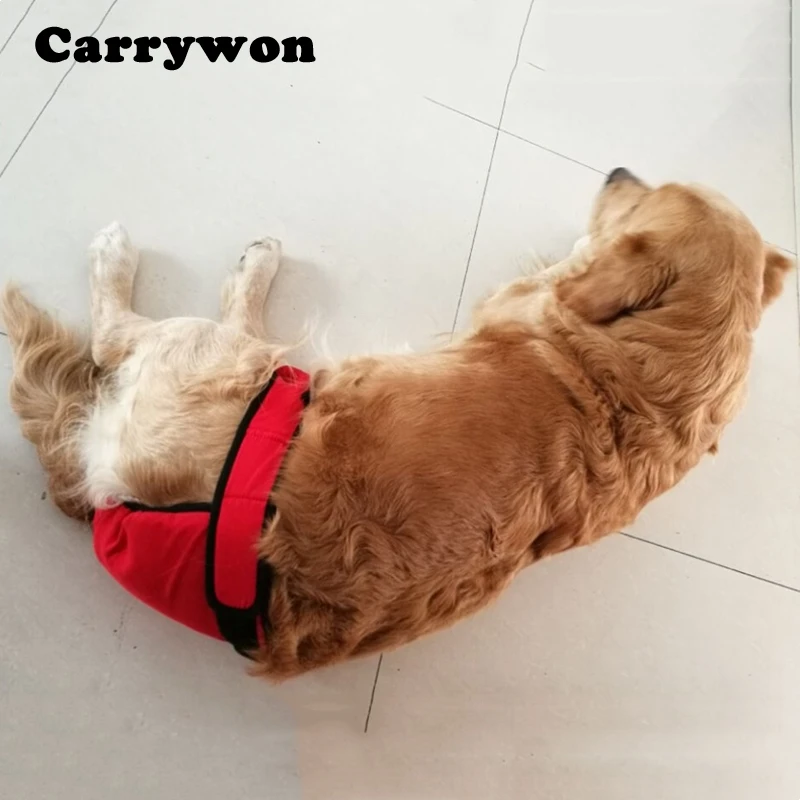 Carrywon Pets Accessories Washable Female Dog Diapers Dog Panties for