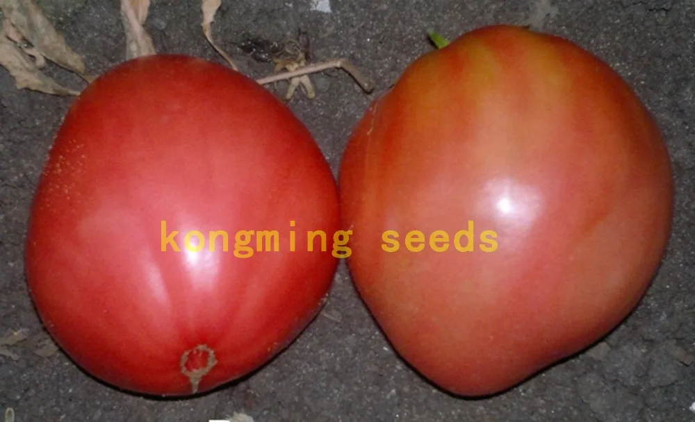 100 pcs/bag bonsai Red Giant Competition Heirloom Tyazeloves Tomato  vegetable for garden