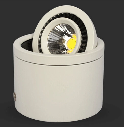 

Factory Wholesale White shell 10W Warm White/Cold White Super Bright COB Surface Mounted led down light 85-265V Free shipping