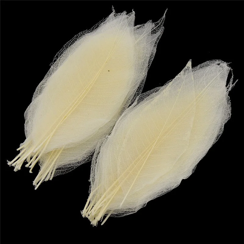 50 шт. Магнолия Скелет лист искусственные букеты высушенных цветов листья свадьба день рождения поставки украшения дома