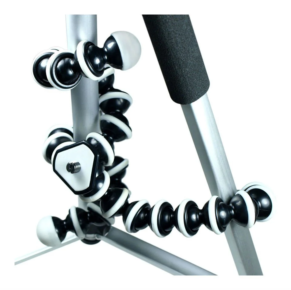 61siGWwIRkL._SL1000_