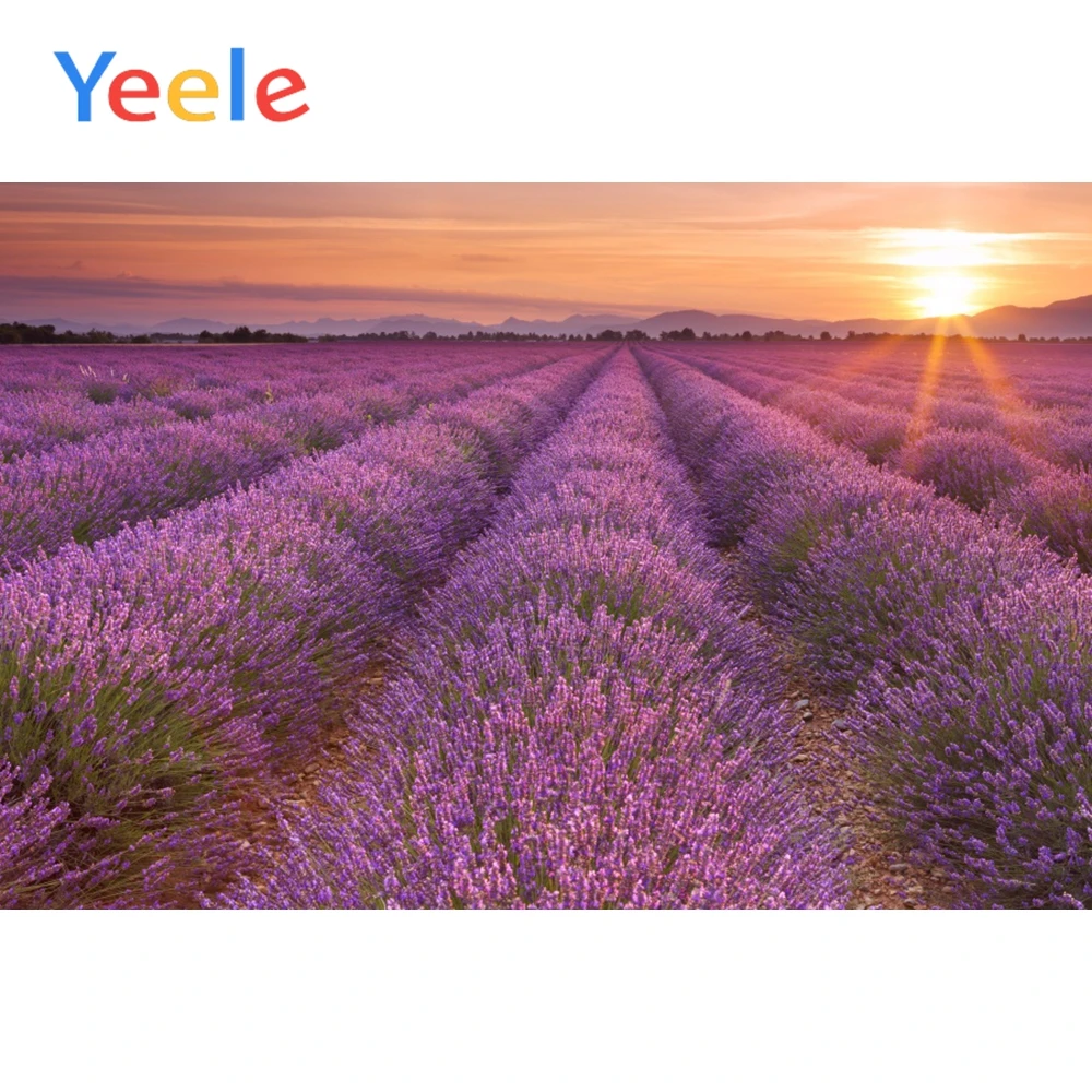 

Yeele Landscapes Lavender Manor Posters Wall Scene Photography Backgrounds Seamless Child Photographic Backdrop For Photo Studio