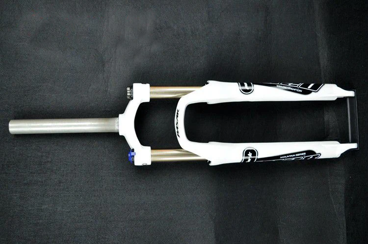 B1