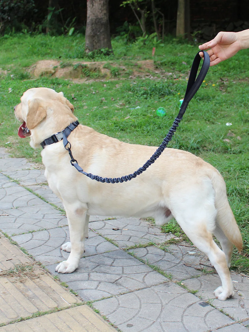 Pets Explosion proof Punching Tow Rope In Large Dog Jinmaobian Animal