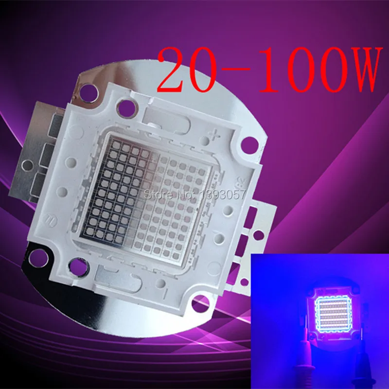 2630163253_576367572_