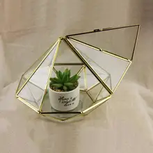 Modern Glass Geometric Terrarium Diamond Tabletop Succulent Fern Moss Plant Terrarium Box Bonsai Flower Pot
