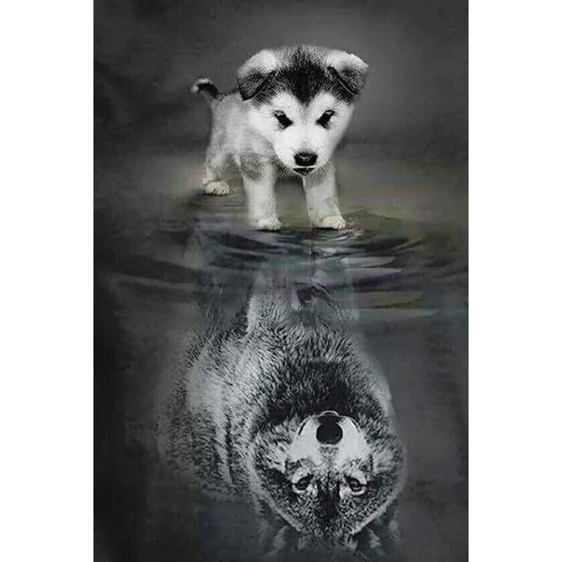 

DIY 5D Diamond Embroidery Crystals Diamond Mosaic Picture Dog Reflect Wolf Rhinestones Diamond Painting Cross Stitch Kits