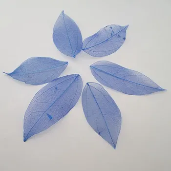 

Wholesale 100pcs/Bag Deep blue colors Natural skeleton leaves for DIY and home decor Card making A3