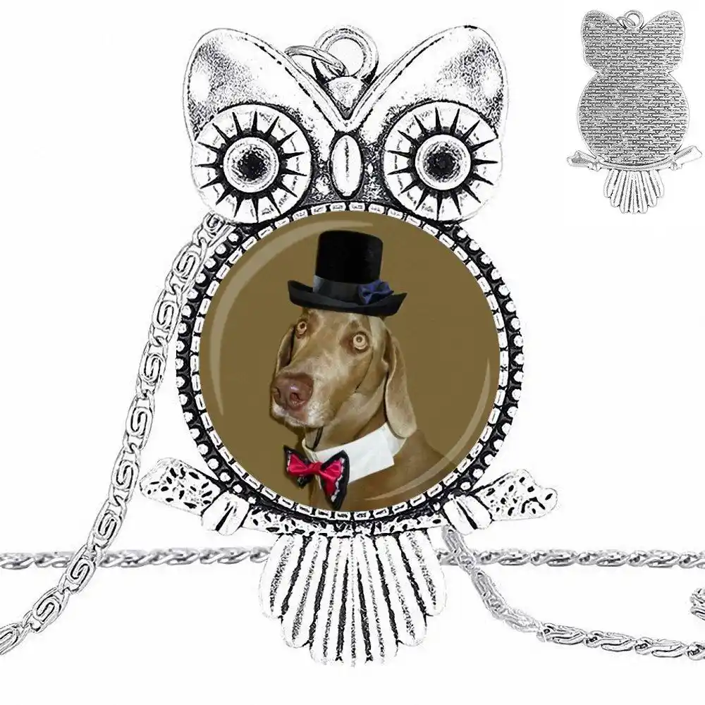 dog in top hat
