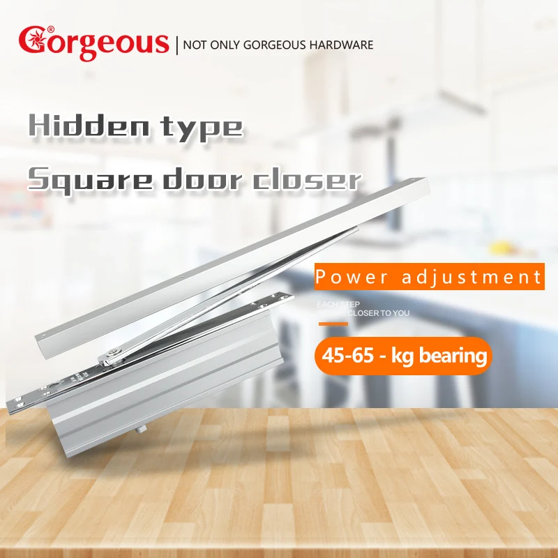 

Gorgeous Aluminum Alloy Concealed Hydraulic Door Close Stealth Door Automatic Door Close Hardware Accessories