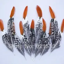 50Pcs/Lot 4-6 10-15CM Pheasant Feathers, Lady Amherst Feather, Orange Red Tipped,Wholesale lot. 50pcs lot phd66nq03lt 66n03