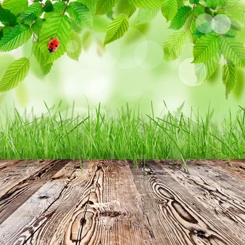 

Laeacco Green Backgrounds Spring Grass Tree Leaves Polka Dots Wooden Board Child Photographic Backdrops Photocall Photo Studio