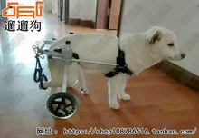 Dog wheelchair / Pet wheelchair / dog scooter / wheelchair / paralyzed dog hind leg wheelchair / disabled dog cart