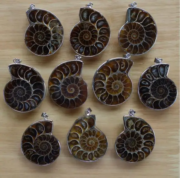 

Natural Color Pendant Slice Spiral Chrysanthemum Fossil Snail Fossils Pendant Lucky. Energy Crystals Charm Pendant
