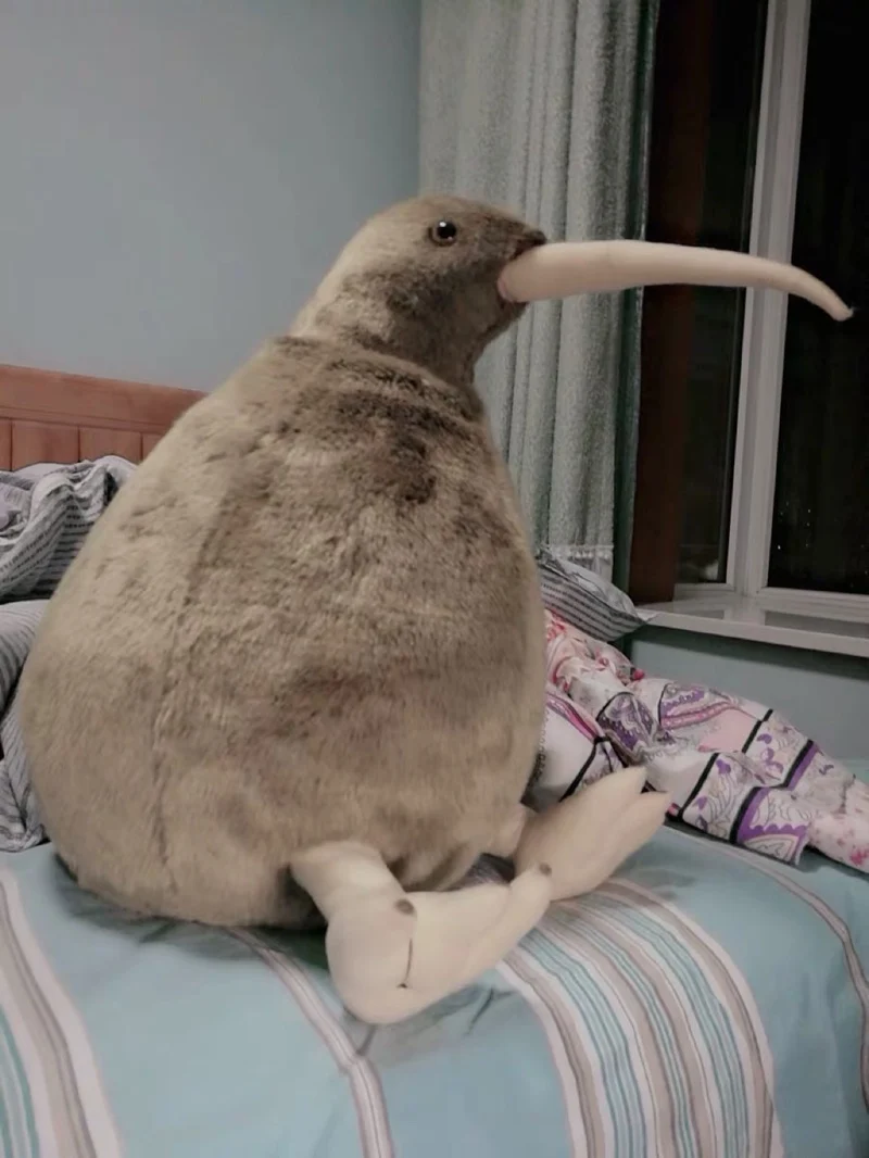 Big Simulation KIWI Bird Doll Animal Kiwi Bird Plush Toys Realistic Animals Plush Toys Gifts Deco 20inch 50cm DY50603(1)