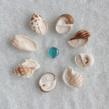 

Free Shipping(8 pcs/lot)8 Styles Natural Conch Aromatherapy Candle For Wedding Decor Coastal Home Decor Craft Seashells