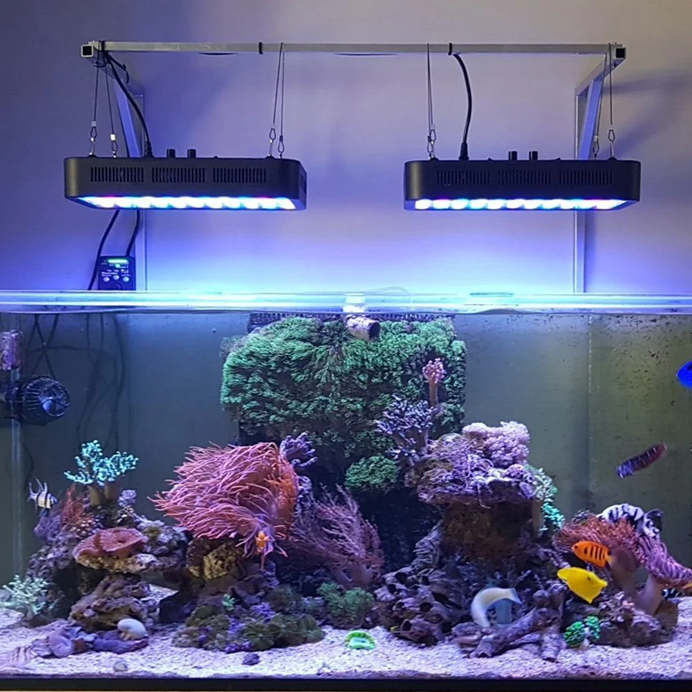 Wifi Reef Light Punkie