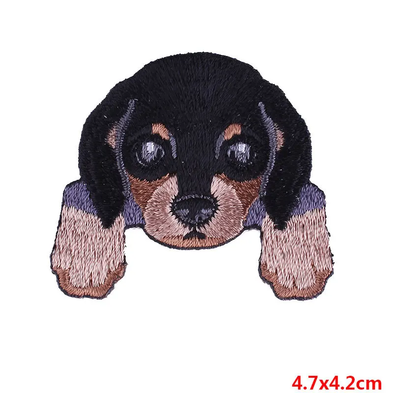 PE2225CT